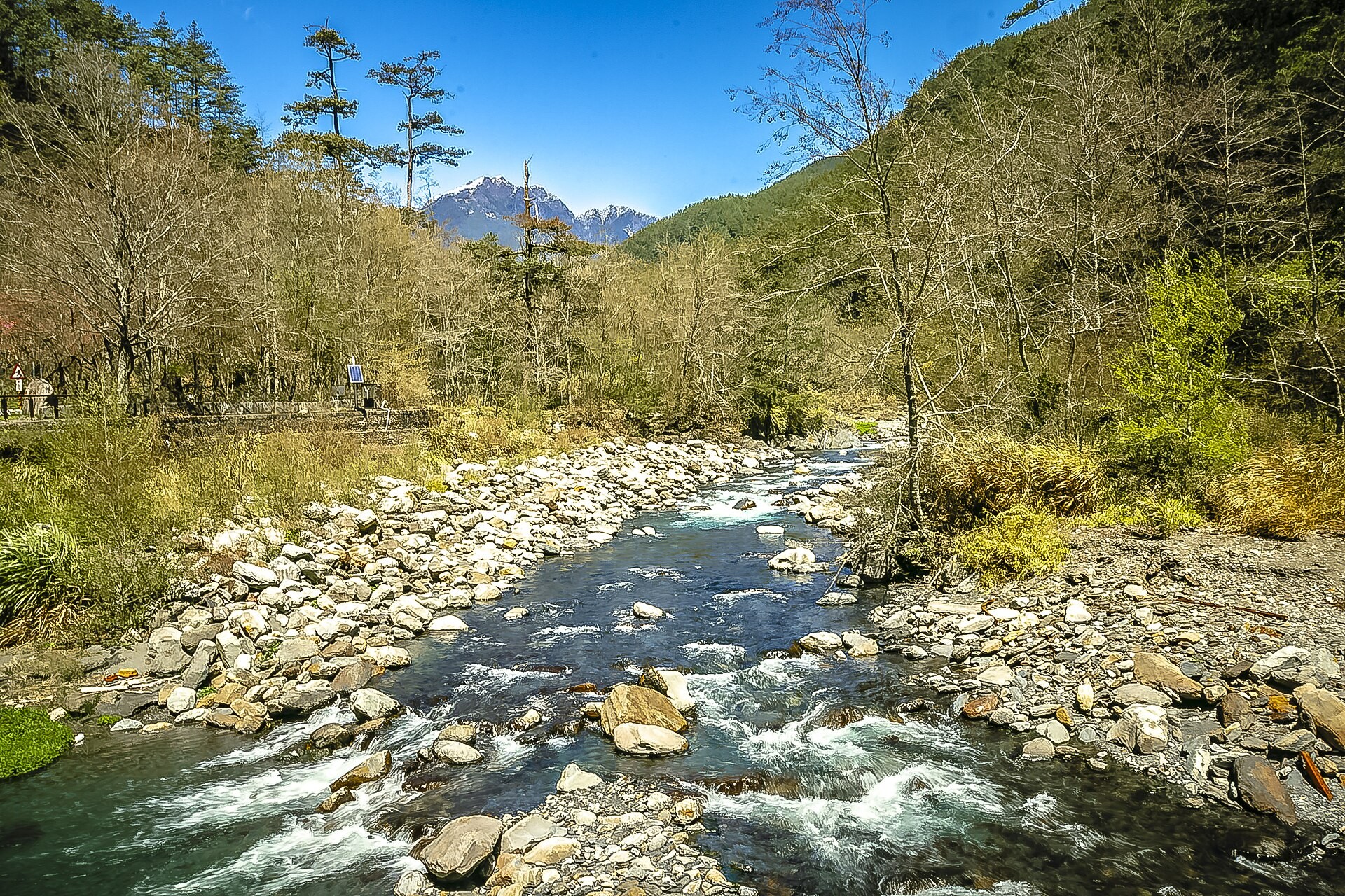 七家湾渓の谷。澄んだ水が丸石の川床を流れ、両岸に緑の森、上には青空が広がる