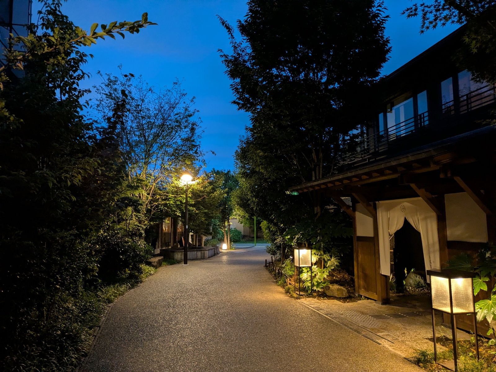 世田谷区代田の下北線路街。小田急線の地下化で生まれた鉄道跡地の歩行空間（2026年8月撮影）